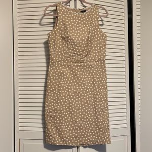 Ann Taylor Dress
